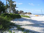 Naples Beach Hotel - Beachfront With Chickee Huts